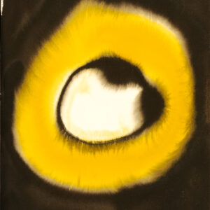 Acuarelas taoístas Microcosmo 29x42cm