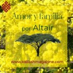 Inteligencia emocional: diferencia Ser y Parecer